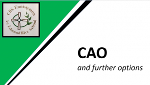 CAO Presentation 2022 - Download
